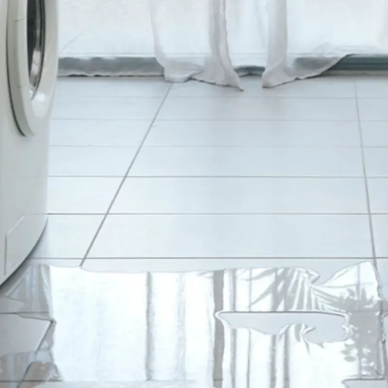 Appliance Leak Cleanup in North Port, FL