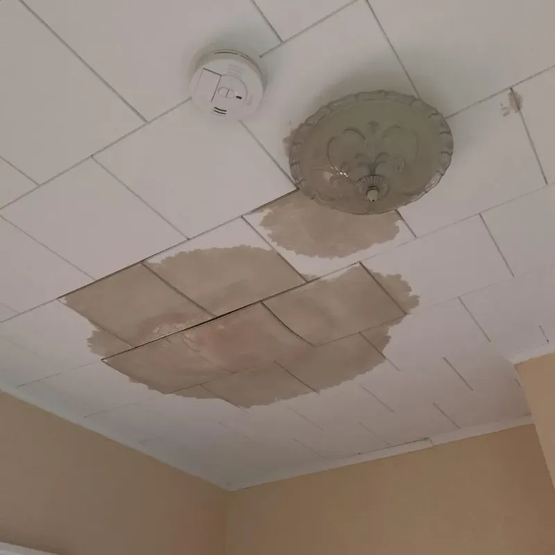 Ceiling Water Damage Repair in North Port, FL